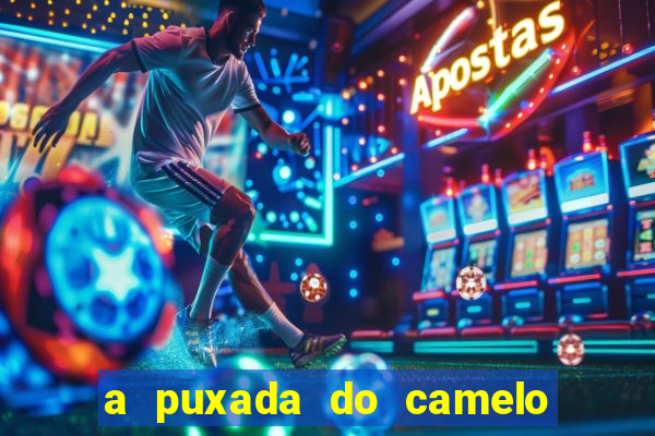 a puxada do camelo no jogo do bicho